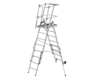 Roossien FlexxStep telescopisch, verrijdbaar, 6 + 2 sporten Roossien FlexxStep telescopisch, verrijdbaar, 6 + 2 sporten