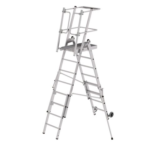 Roossien FlexxStep telescopisch, verrijdbaar, 6 + 2 sporten Roossien FlexxStep telescopisch, verrijdbaar, 6 + 2 sporten