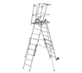 Roossien FlexxStep telescopisch, verrijdbaar, 6 + 3 sporten