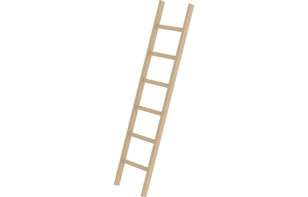 kopen? | Houten enkele ladder, 6 sporten | Ladder.nl