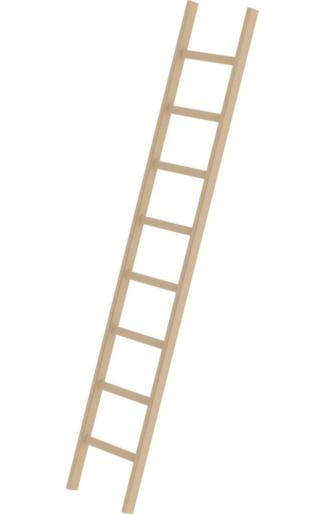 Roossien Houten enkele ladder, 8 sporten