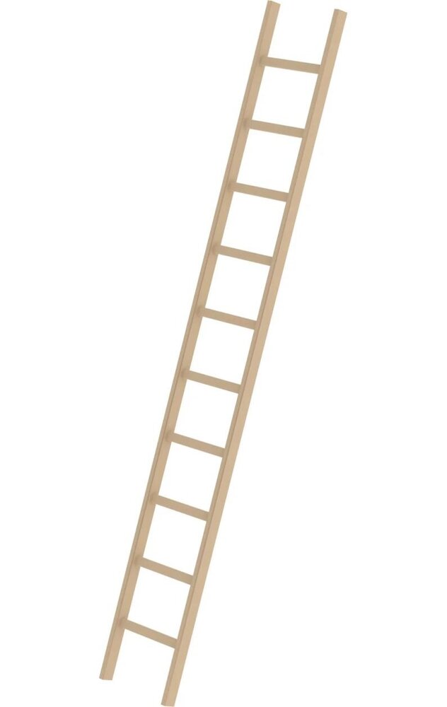 Roossien Houten enkele ladder, 10 sporten