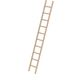 Roossien Houten enkele ladder, 10 sporten