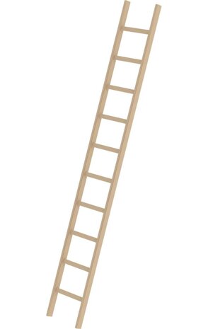 Munk Houten enkele ladder, 10 sporten Munk Houten enkele ladder, 10 sporten