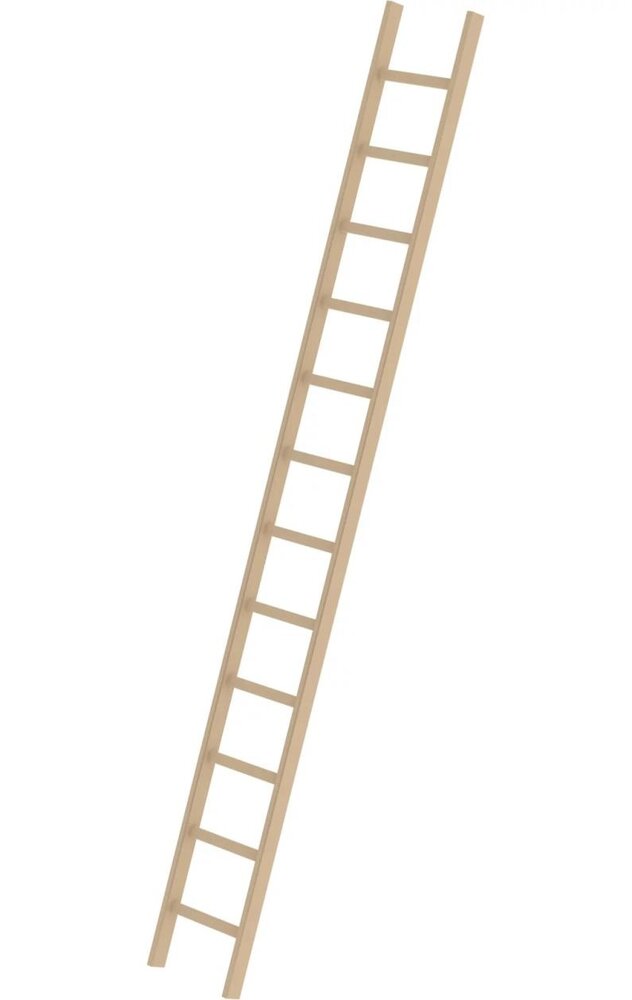 Roossien Houten enkele ladder, 12 sporten