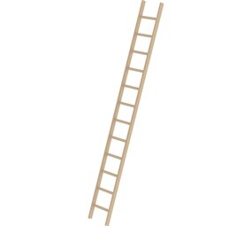 Munk Houten enkele ladder, 12 sporten Munk Houten enkele ladder, 12 sporten