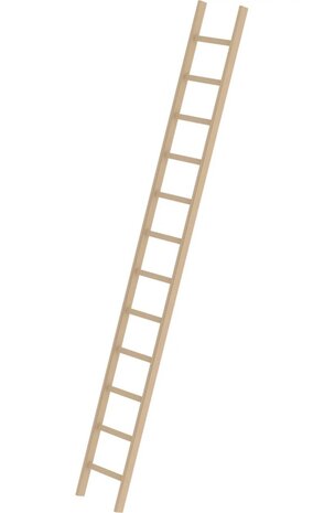 Roossien Houten enkele ladder, 12 sporten