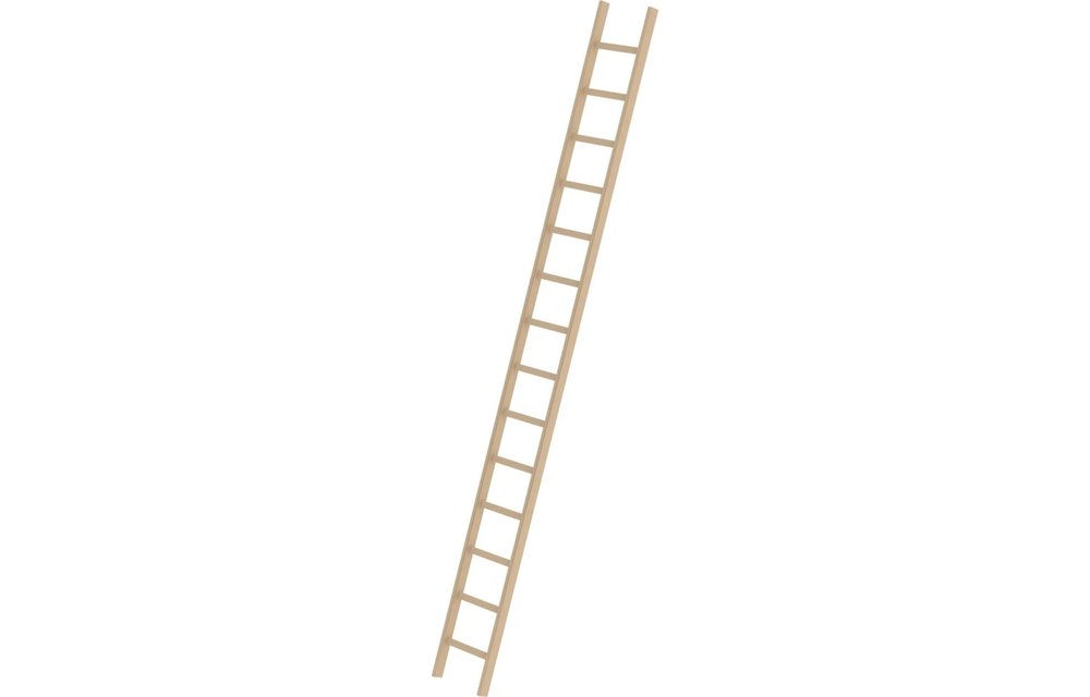 Evacuatie vriendelijk Stevig Ladder kopen? | Houten enkele ladder, 14 sporten | Ladder.nl