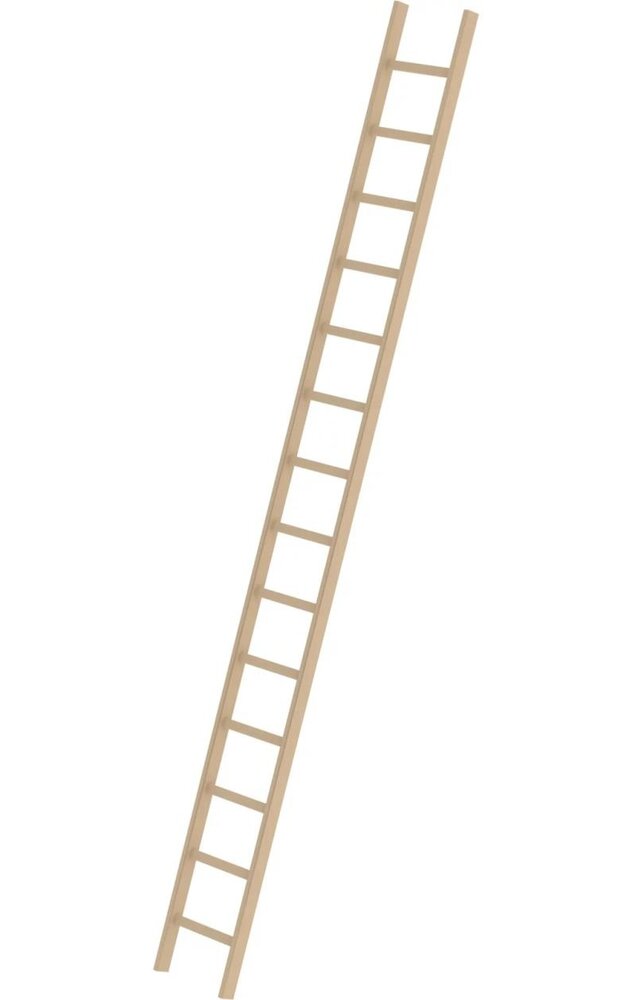 Roossien Houten enkele ladder, 14 sporten