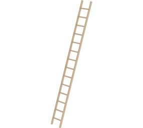 Munk Houten enkele ladder, 14 sporten Munk Houten enkele ladder, 14 sporten