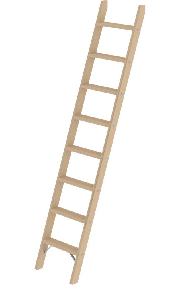 Roossien Houten enkele trapladder, 8 treden