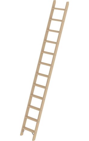 Roossien Houten enkele trapladder, 12 treden