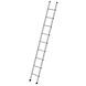 Roossien Aluminium enkele ladder, 9 sporten (350mm breed)