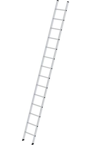 Roossien Aluminium enkele ladder, 14 sporten