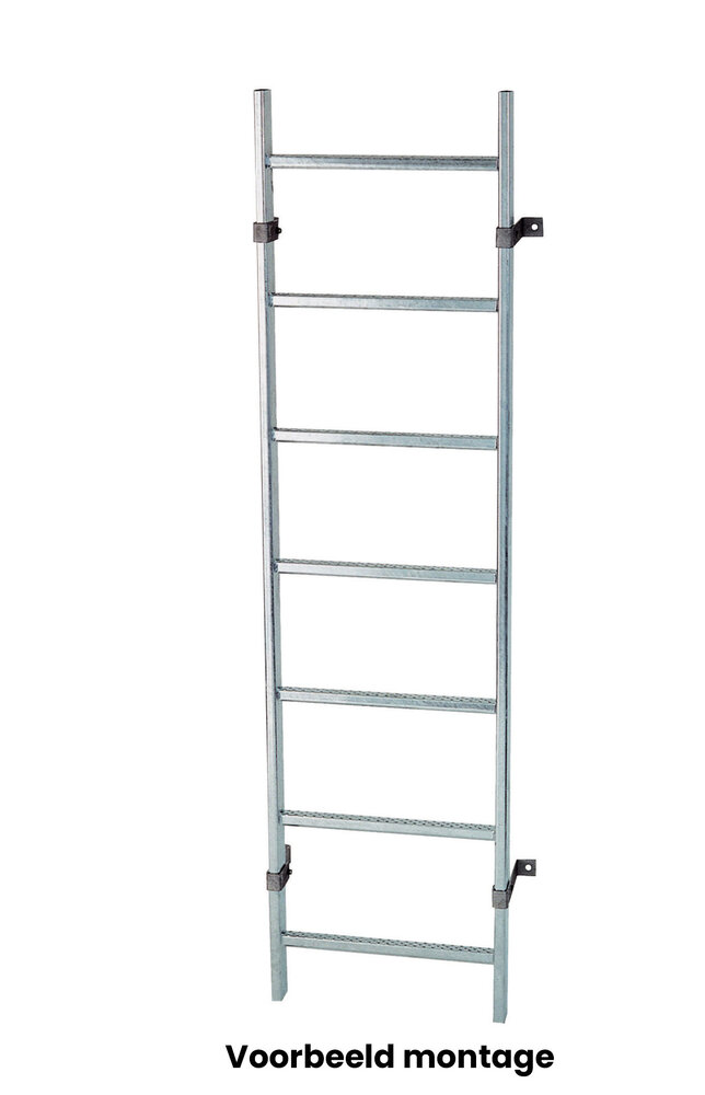 Roossien Stalen putladder, 11 sporten (340mm breed)