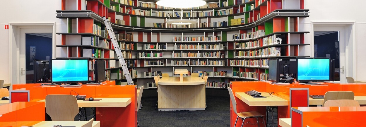 Boeken van de hoogste plank halen met de bibliotheekladder