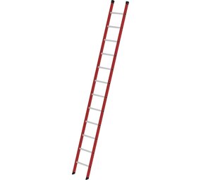 Roossien Kunststof enkele ladder, 12 sporten