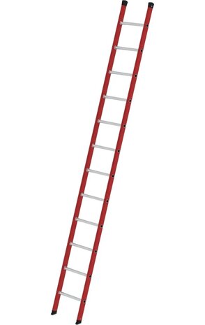Roossien Kunststof enkele ladder, 12 sporten