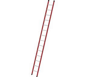 Roossien Kunststof enkele ladder, 14 sporten
