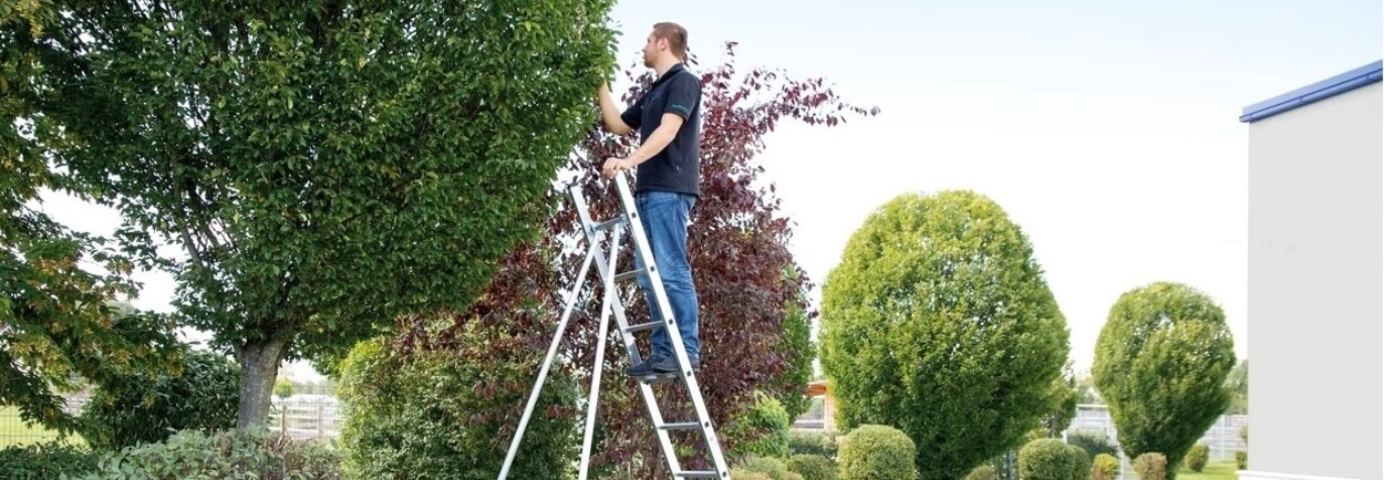 De plukladder: een onmisbare tool in de groensector