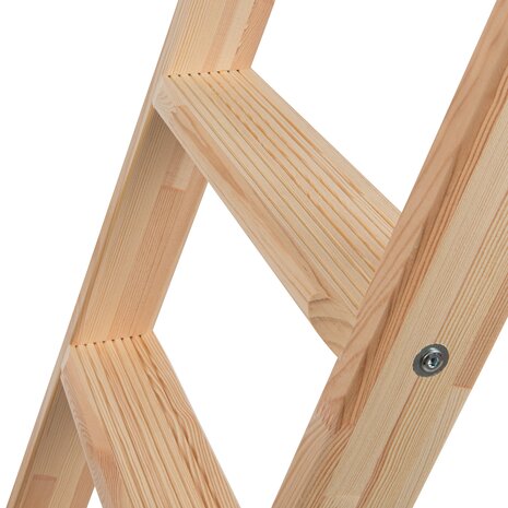 Roossien Houten enkele trapladder, 6 treden