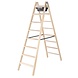 Roossien Houten dubbele trapladder, 2x8 treden