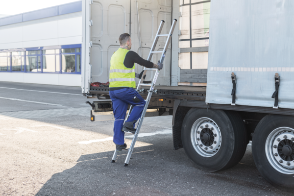 Roossien Magnetische ladderklemset