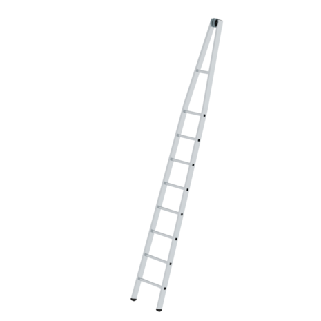 Roossien Puntladder, bovenste deel, 8 sporten