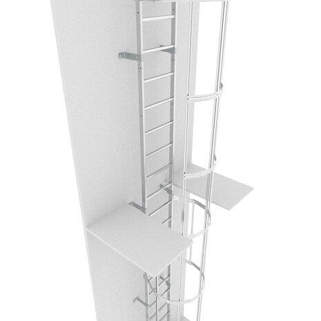 Roossien Kooiladder met dubbele zijwaartse uitstap Roossien Kooiladder met dubbele zijwaartse uitstap