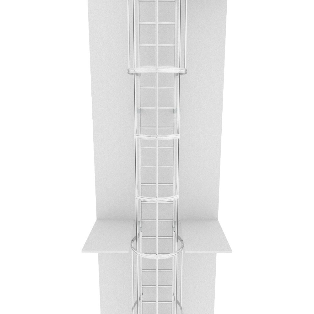 Roossien Kooiladder met dubbele zijwaartse uitstap Roossien Kooiladder met dubbele zijwaartse uitstap