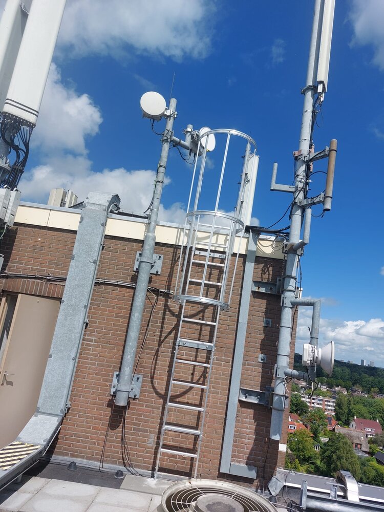 Roossien Kooiladder met korte kooi Roossien Kooiladder met korte kooi