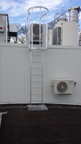 Roossien Kooiladder met korte kooi Roossien Kooiladder met korte kooi