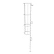 Roossien Aluminium kooiladder - 3 meter Roossien Aluminium kooiladder - 3 meter