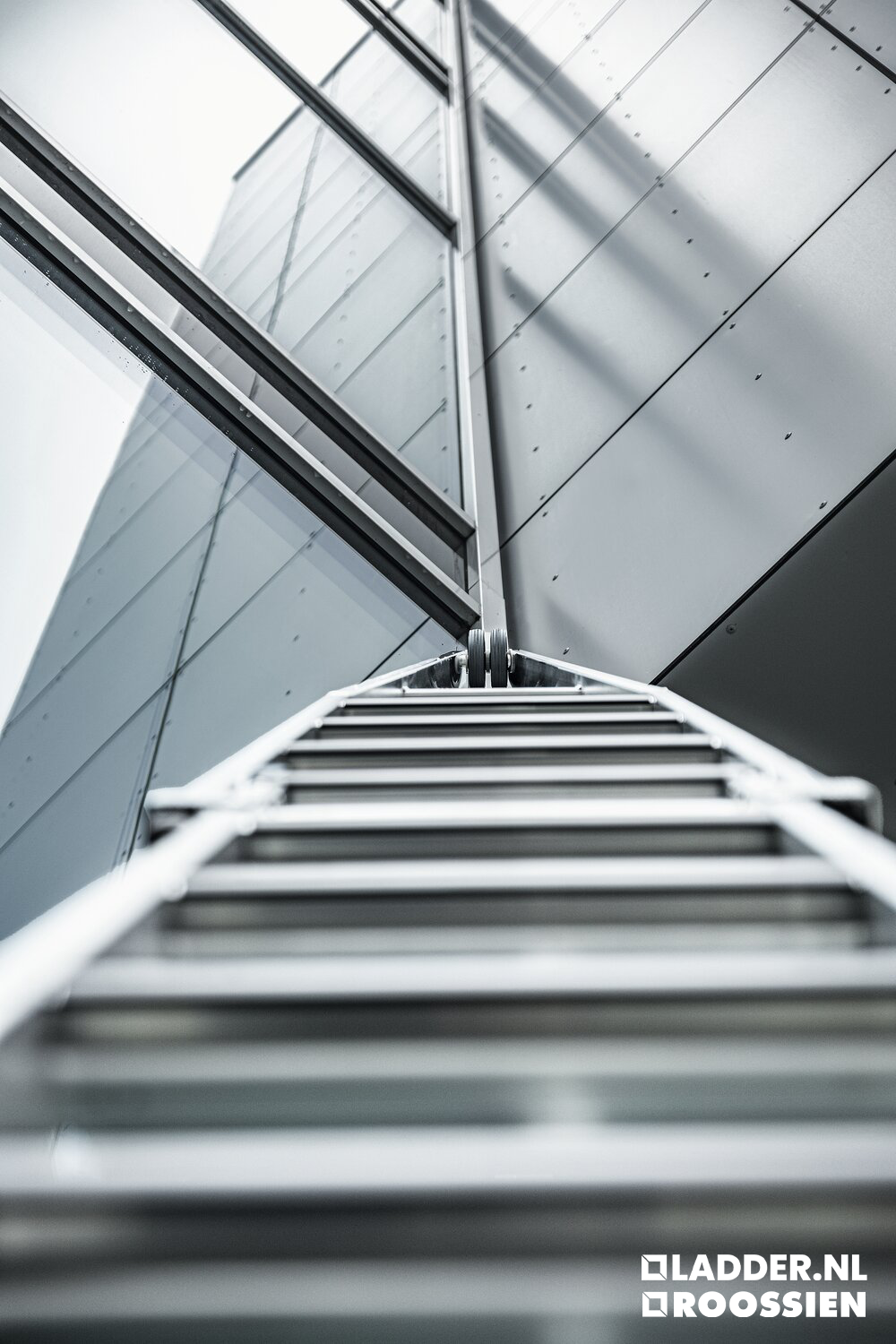 puntladder