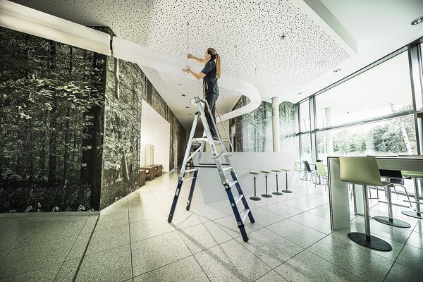 Roossien Aluminium platformtrap 3 treden, inklapbare handgrepen