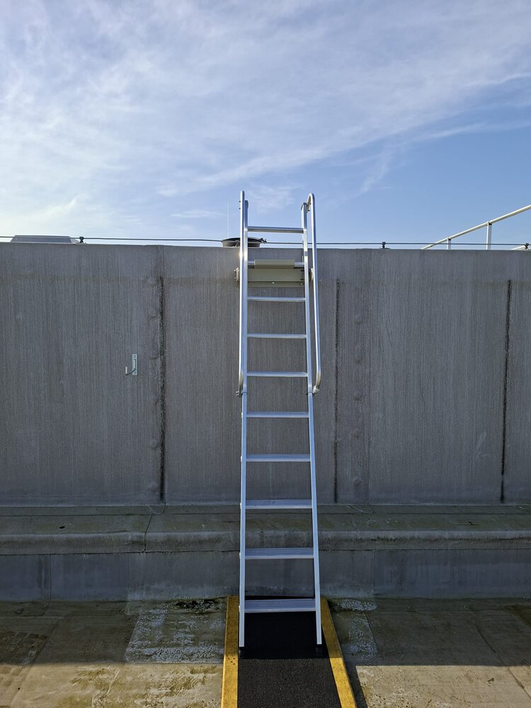 Roossien Ladderborgingspunt verstelbaar (49LBPV)