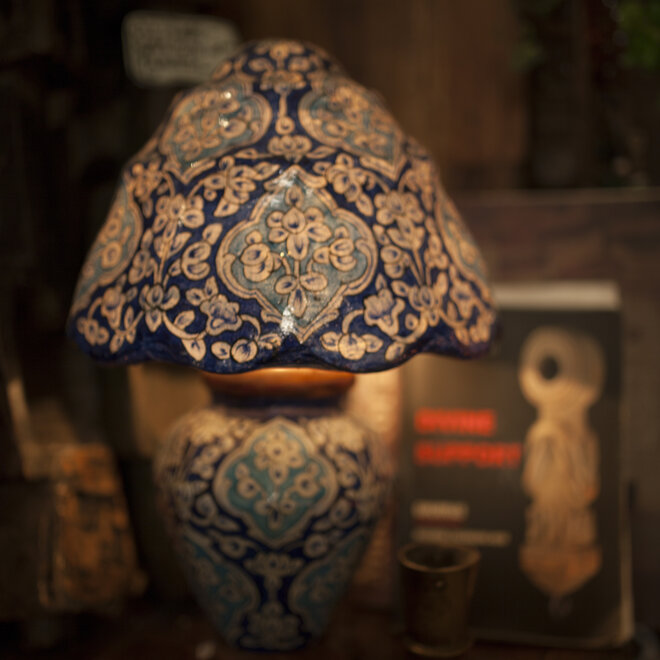 Kamelenblaas lamp