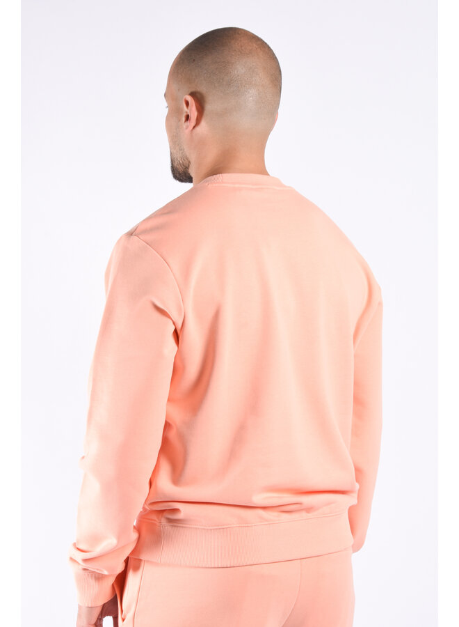 Hugo Boss FA23 - Diragol_C Sweater - Light/Pastel Red