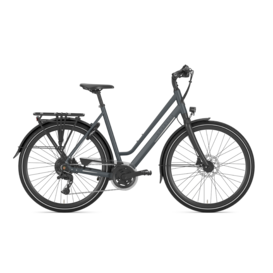 CHAMONIX T20 THUNDER GREY MAT S20