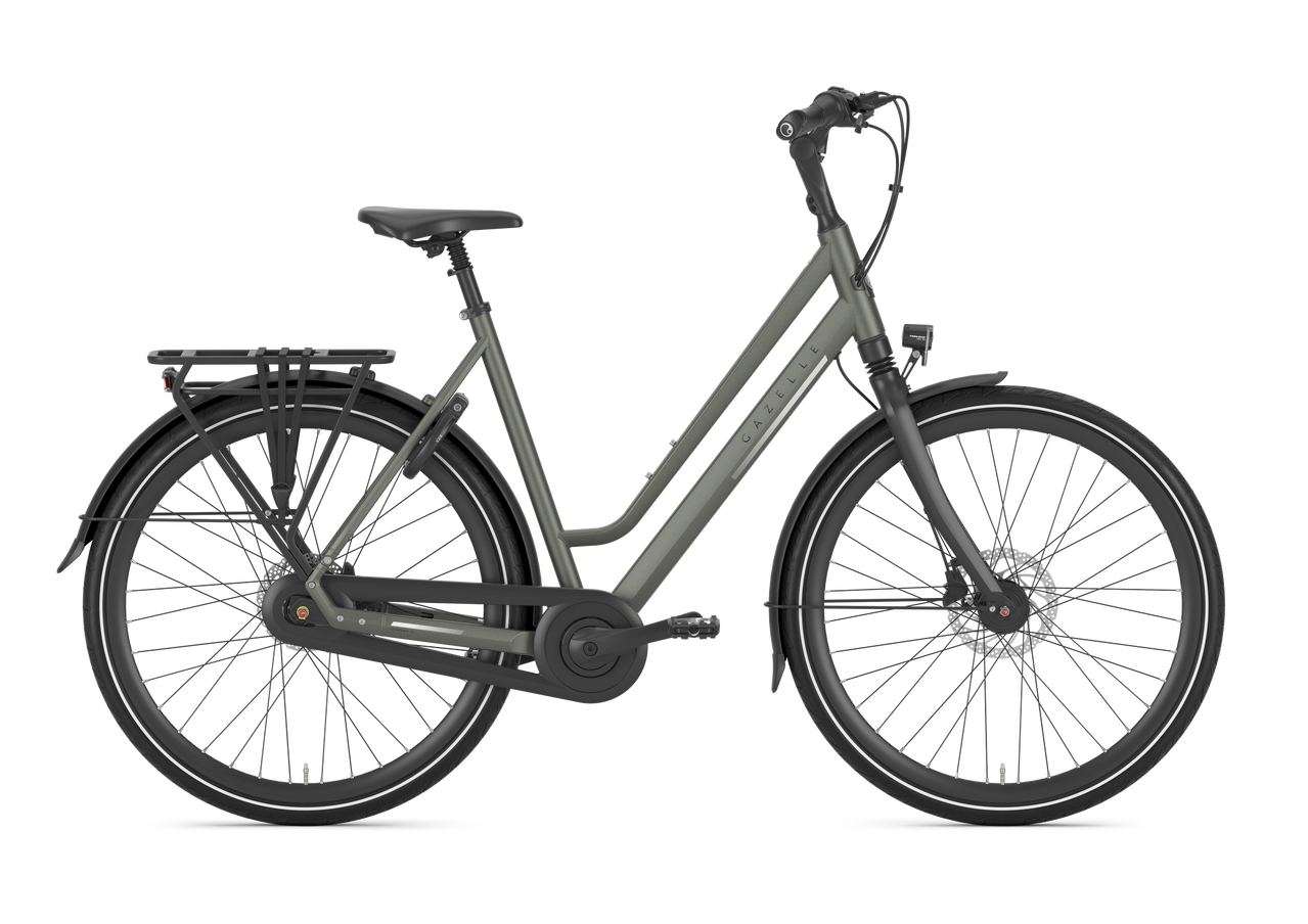 GAZELLE CHAMONIX C8 CLAY GREEN MAT T8 - GEJO Cycleworld