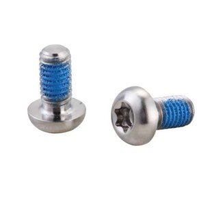 REMD SCHIJF BOUT M5X11 RVS