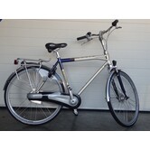 Gazelle xanta c7 h 57cm 25 goud