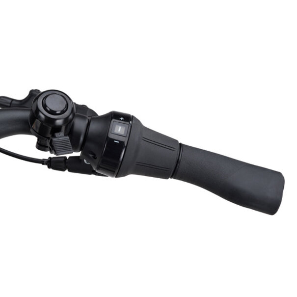 BATAVUS Altura PT Incl. 500wh Dames 7 Smokingblack matt