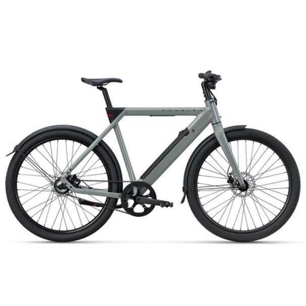 RALEIGH RALEIGH ONE SAGE GREY
