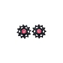 BDP-20X Derailleurwieltjes RollerBoys 12T-12T