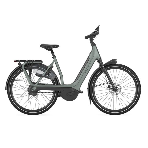 GAZELLE AVIGNON C380+ TWILIGHT GREEN