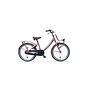 Fiets Alpina Clubb M20