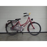 Gazelle madelief m20"red roses rn