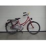 Gazelle madelief m20"red roses rn