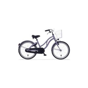 Fiets Alpina Ocean M20